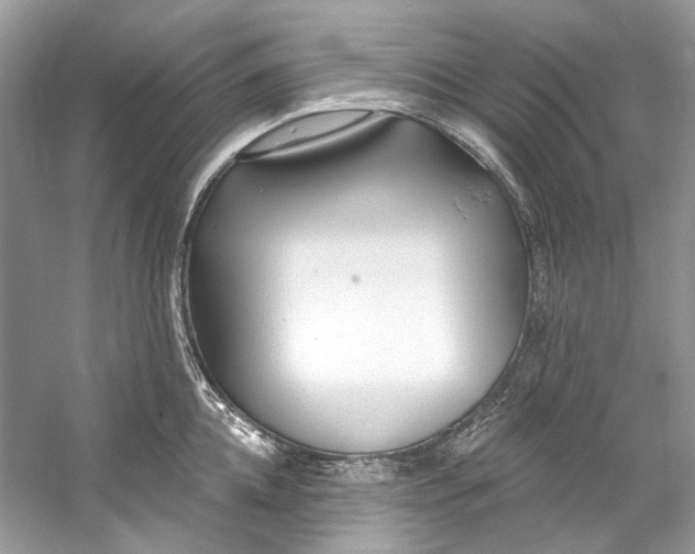 X0000060760952200512011510