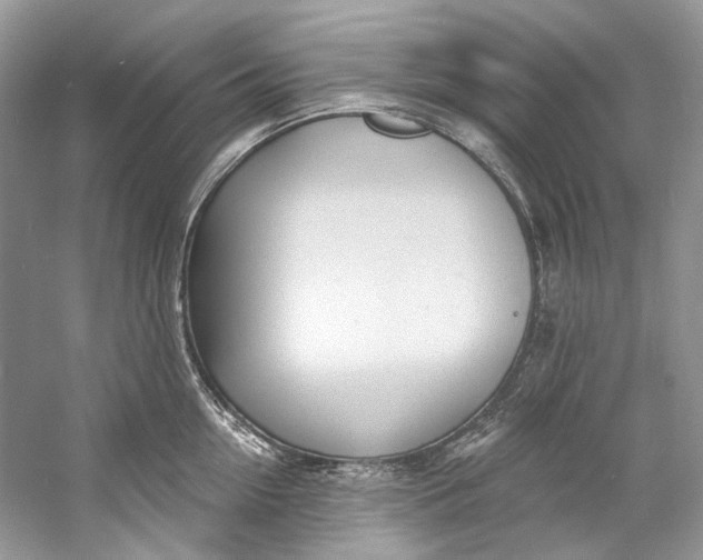 X0000060760954200512011510