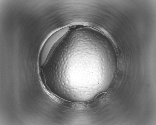 X0000060760955200512011510