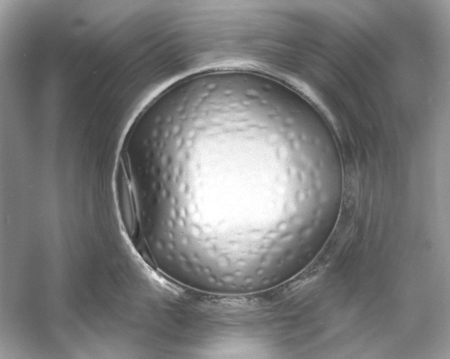 X0000060760959200512011510