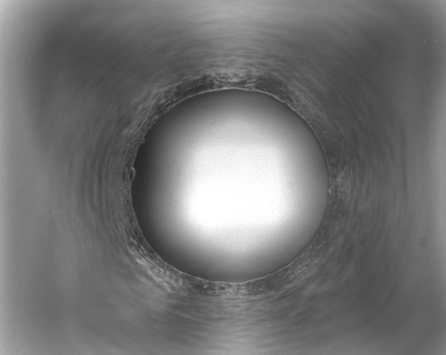 X0000060760961200512011509