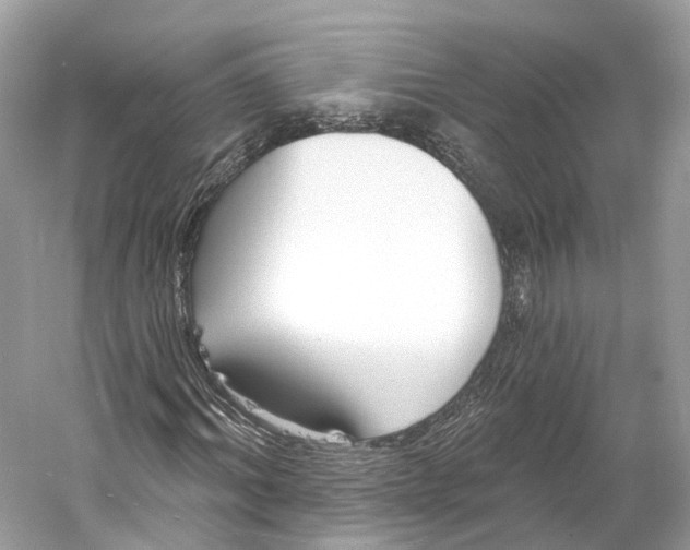 X0000060760964200512011509