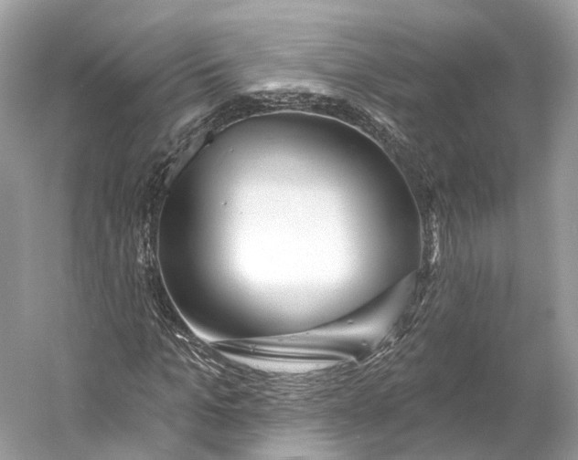 X0000060760965200512011509