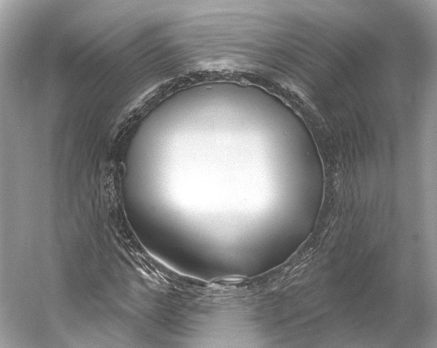 X0000060760968200512011509