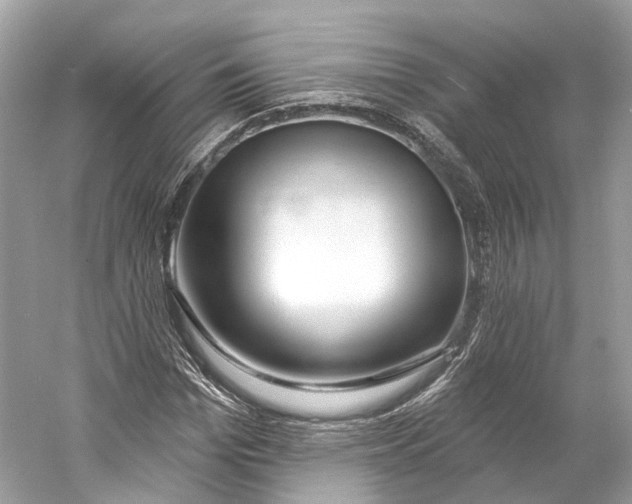 X0000060760969200512011509