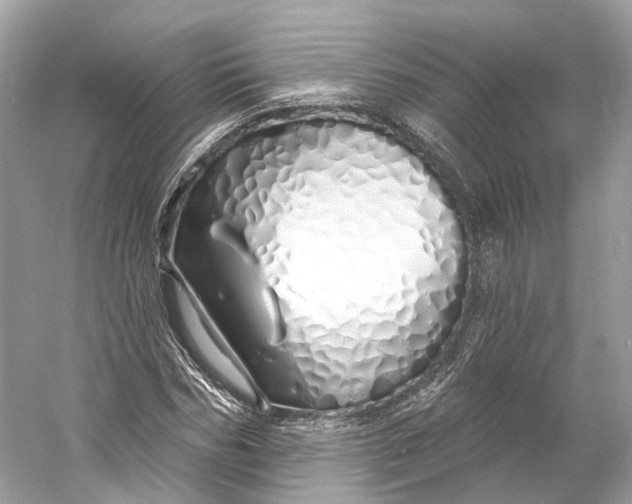 X0000060760970200512011509