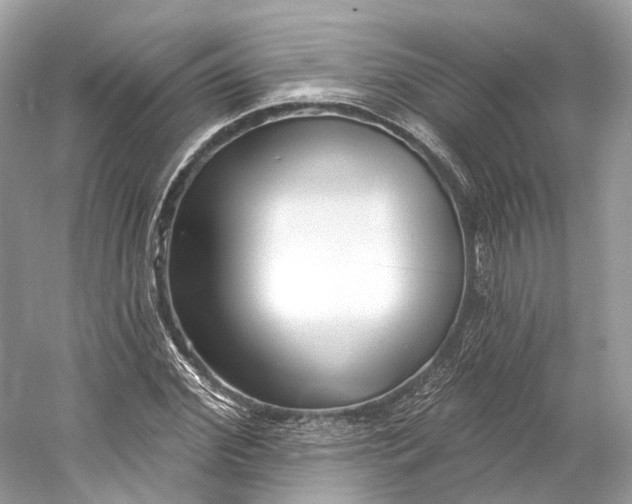 X0000060760972200512011509