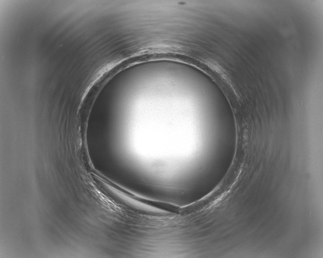 X0000060760973200512011509