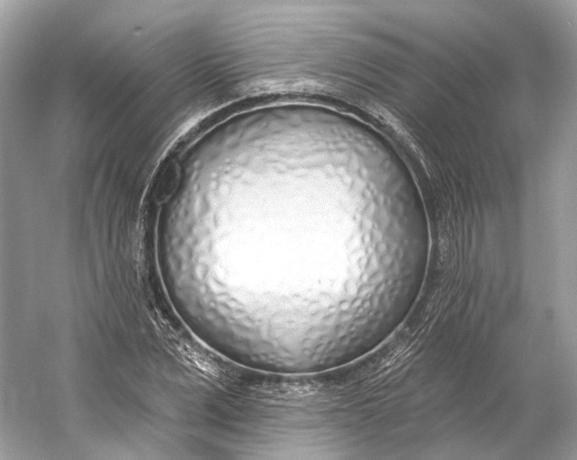 X0000060760975200512011509