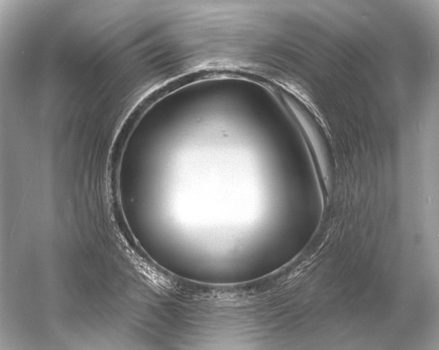 X0000060760976200512011509