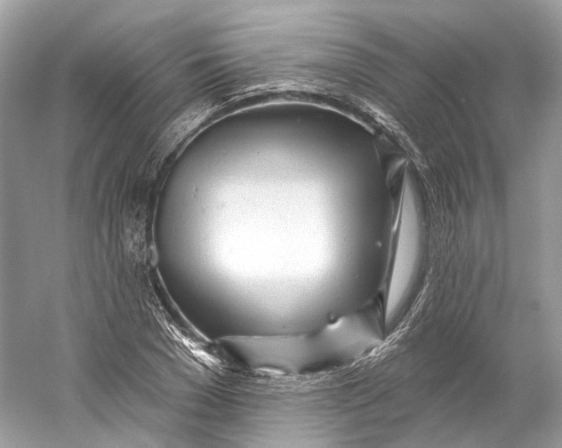 X0000060760977200512011509