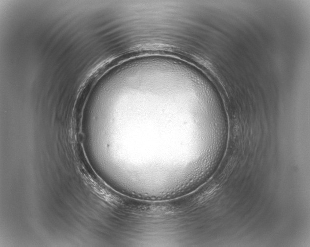 X0000060760979200512011509