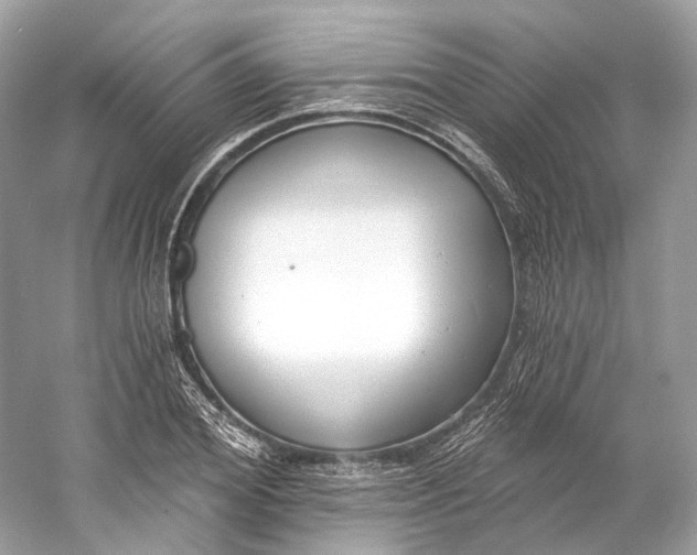 X0000060760980200512011509
