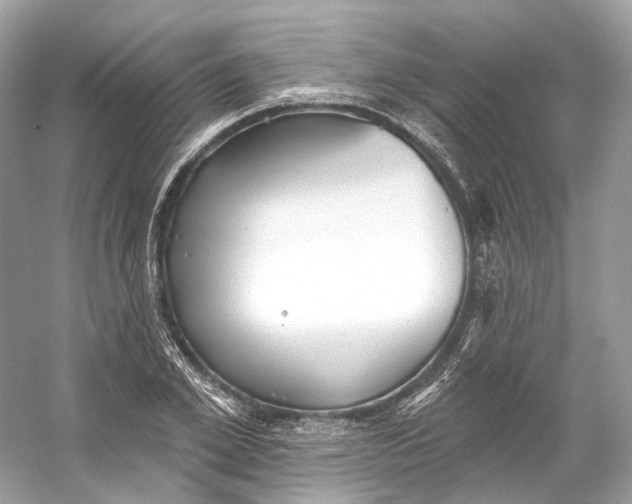 X0000060760981200512011509