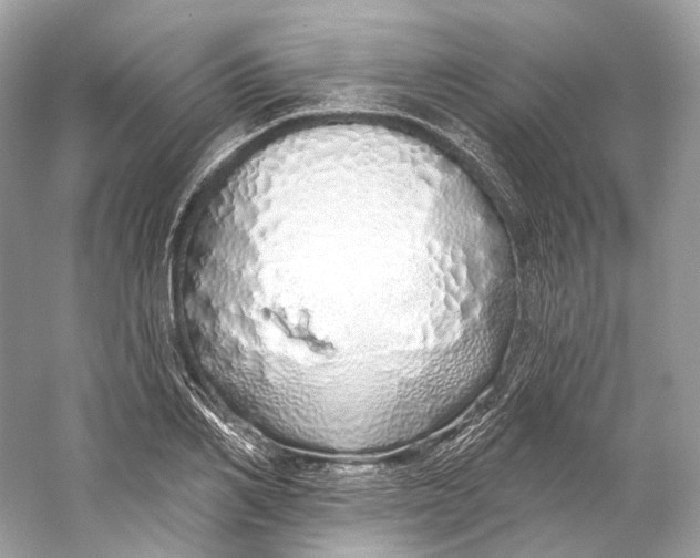 X0000060760982200512011509