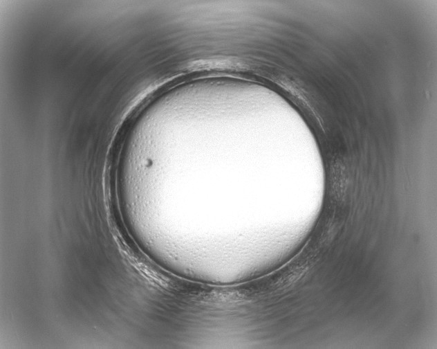 X0000060760983200512011509