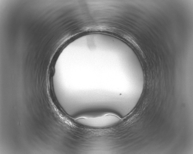 X0000060760984200512011509