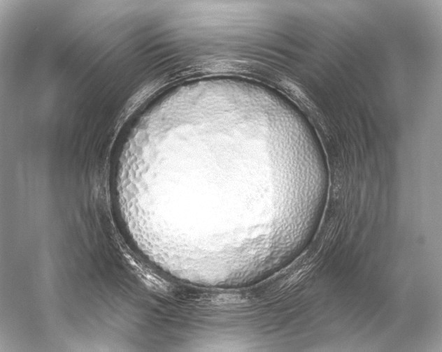 X0000060760986200512011509