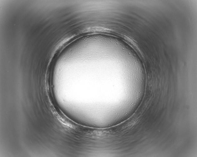 X0000060760987200512011509