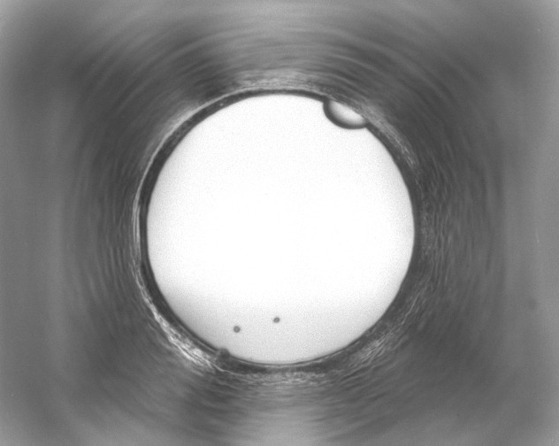 X0000060760988200512011509