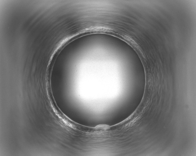 X0000060760989200512011509