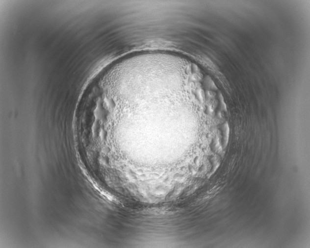 X0000060760990200512011509
