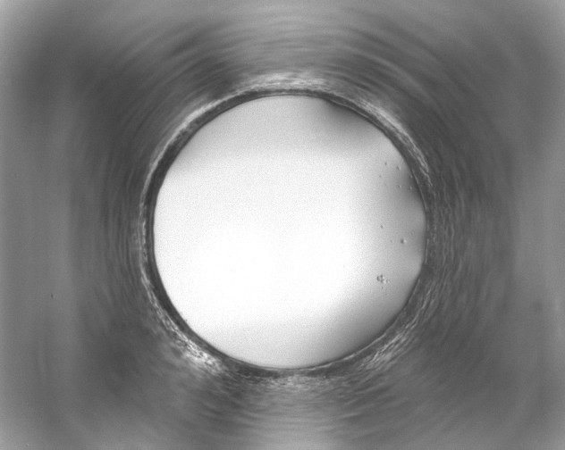 X0000060760992200512011509