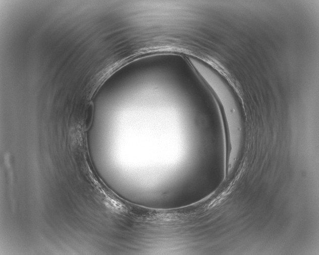 X0000060760993200512011509