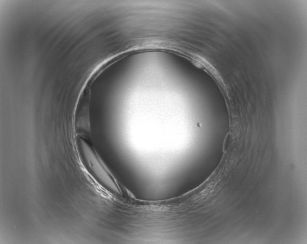 X0000060760996200512011509