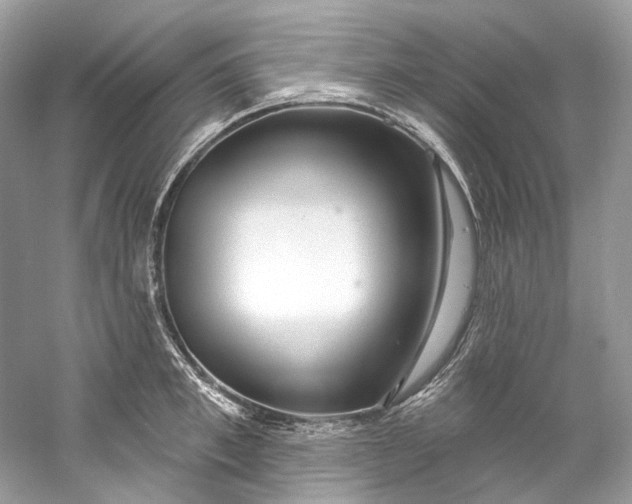 X0000060760997200512011509