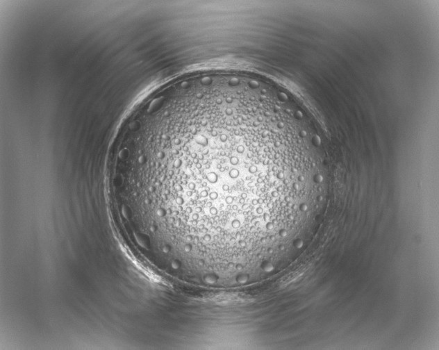 X0000060760998200512011509