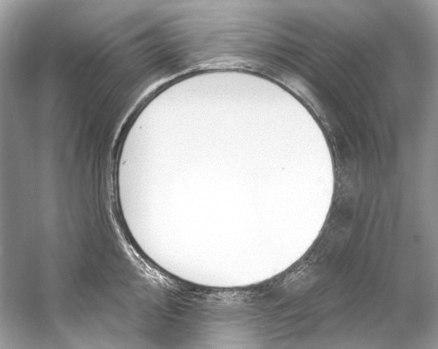 X0000060761000200512011509