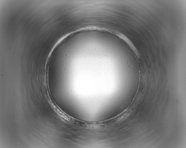 X0000060761004200512011509