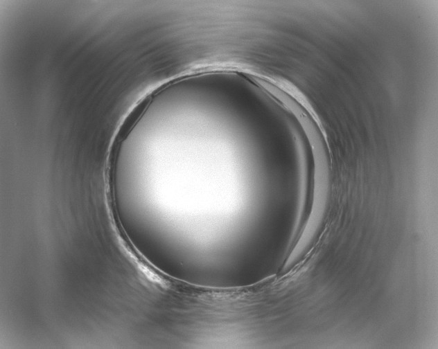 X0000060761005200512011509