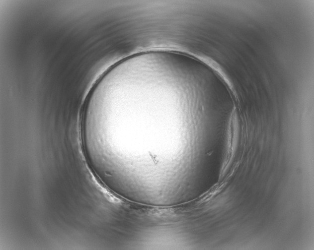 X0000060761006200512011508