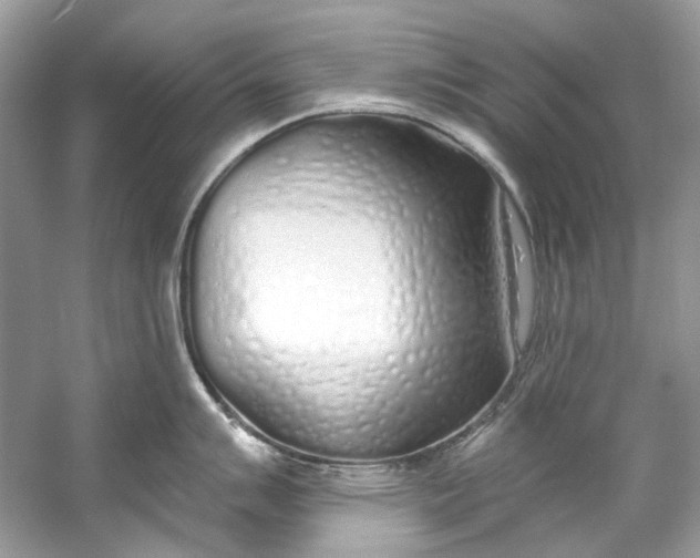 X0000060761007200512011508