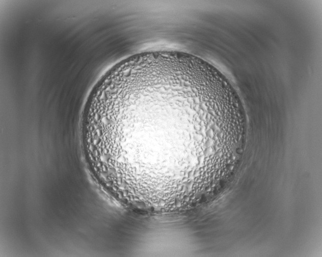 X0000060761008200512011508