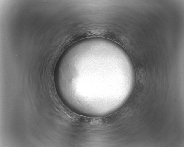 X0000060761009200512011508