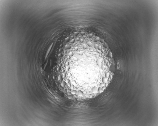 X0000060761011200512011508