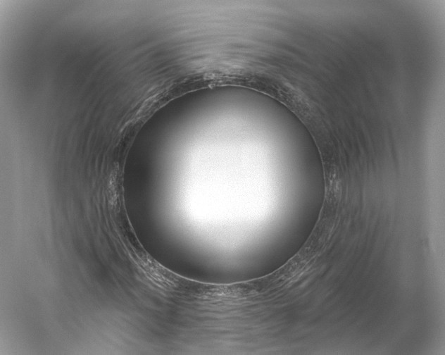 X0000060761012200512011508