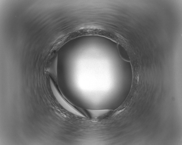 X0000060761014200512011508