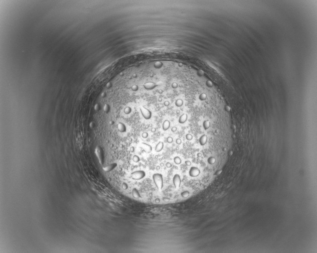 X0000060761015200512011508