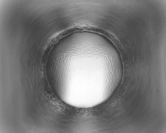 X0000060761016200512011508