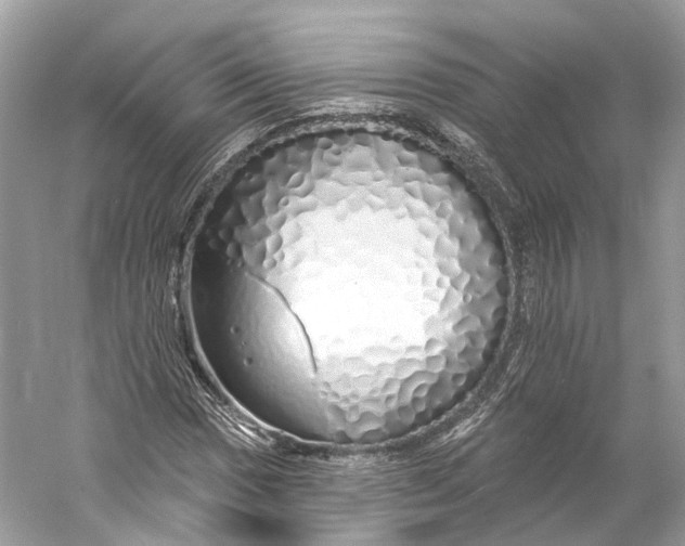 X0000060761017200512011508
