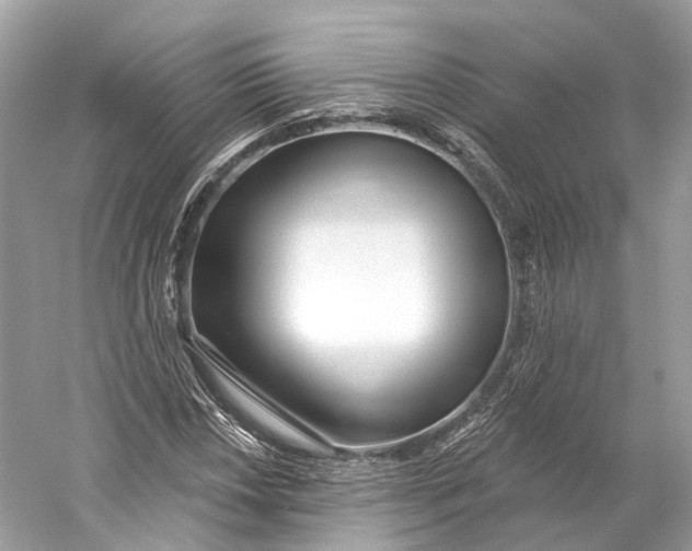 X0000060761018200512011508