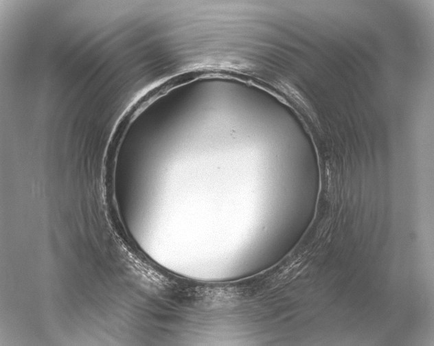 X0000060761020200512011508