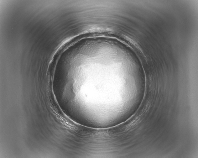 X0000060761021200512011508