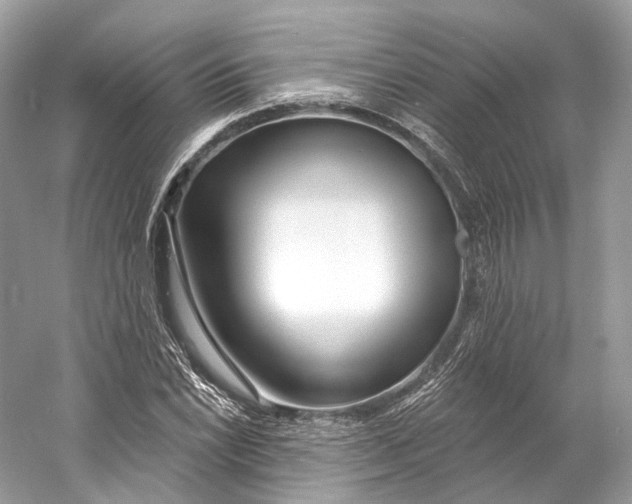 X0000060761022200512011508