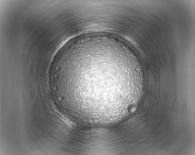 X0000060761023200512011508