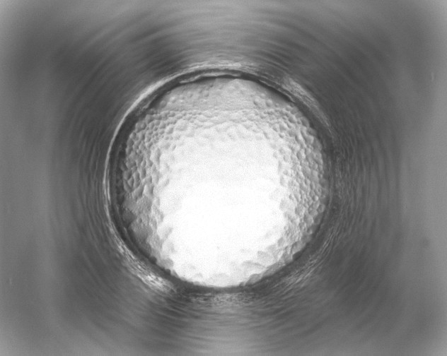 X0000060761028200512011508